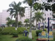 有天有地 双拼别墅 东南北 独立花园 可停3部车