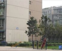 新桥逸景A区1室1厅东南