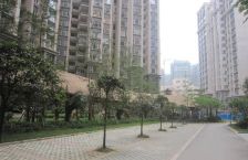 四季映像 2室1厅 东南 东南 西南 西南