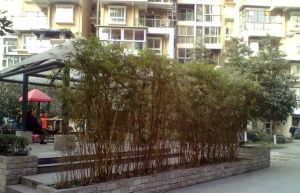 齐力碧水湾2室1厅东