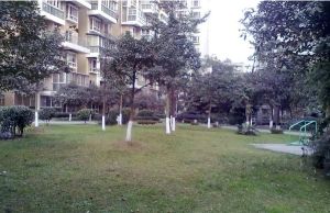 齐力碧水湾2室2厅北