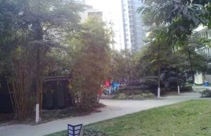 齐力碧水湾4室2厅南