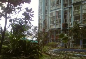 楠丽湾 1室0厅 西南