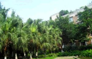 华阳滨河花园3室1厅东南