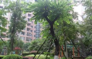 水漪袅铜3室2厅东西