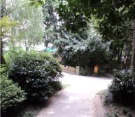 西区花园花园洋房 2室1厅 南