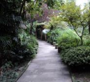 西区花园花园洋房2室1厅东南