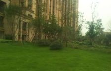 远洋朗郡 3室2厅 东南 西南