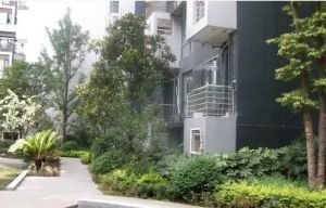 沙河明珠3室1厅东
