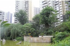 锦江帆影3室1厅南