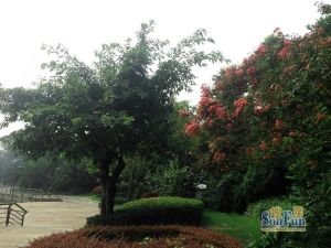 金河谷四期 3室2厅 东南