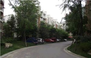 御源大湖区 3室2厅 南