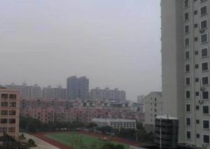 小区环境位置好,采光充足,生活便利,无遮挡采光好。