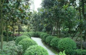 塞纳河畔 3室2厅 南 北