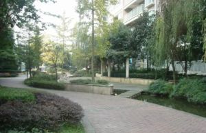塞纳河畔3室2厅西南