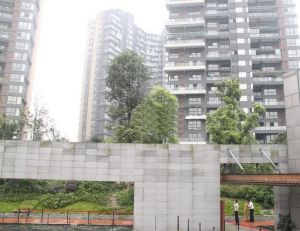 华侨城纯水岸三期2室1厅北