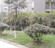 锦绣光华2室1厅东西