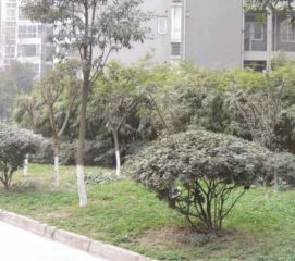 锦绣光华1室1厅西
