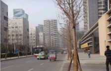 英郡三期3室2厅西南东南
