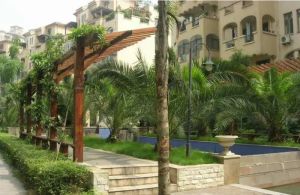 橄榄郡 1室1厅 东南