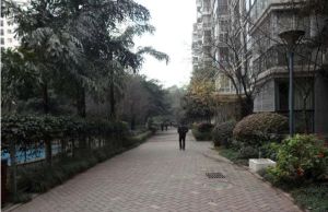 丽景天成1室1厅东