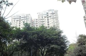 丽景天成1室1厅南