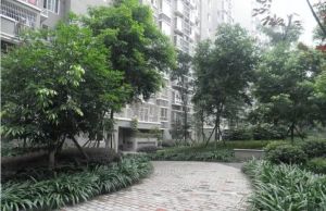 鸿运之星 3室1厅 东南