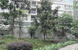 鸿运之星3室1厅北