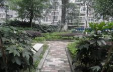 鸿运之星3室2厅西南