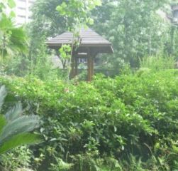 锦江明珠2室1厅南