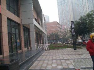 锦江明珠3室2厅西南