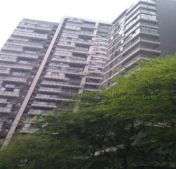 锦江明珠0室0厅东南