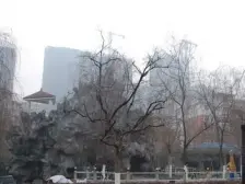 嵩山路 南向采光好 近地铁 医疗配套成熟 商业配套齐全