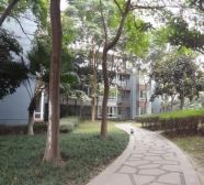 颐和雅居4室1厅西南