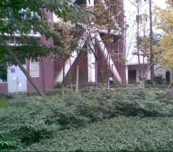 锦江印象 1室1厅 东南