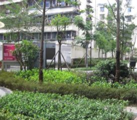 左邻右舍2室1厅西北