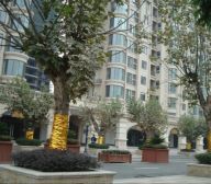 珠江御景湾 4室2厅 西南 东北