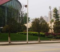 珠江御景湾 4室2厅 西南 东北