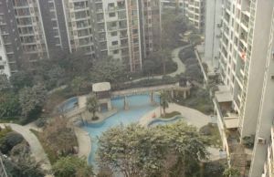 白鸽岛尚 2室1厅 东南