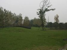 华侨城天鹅堡 4室2厅 西南