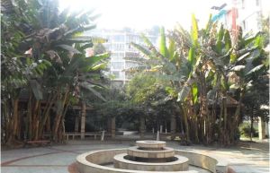 兴元嘉园 2室1厅 东南