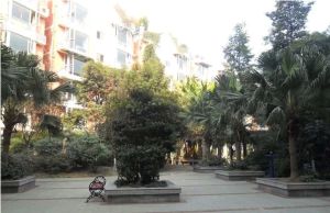 兴元嘉园 2室2厅 南