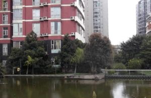 康河郦景三期 4室2厅 北