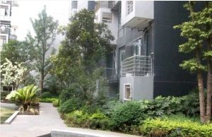 银唐国际2室1厅东南