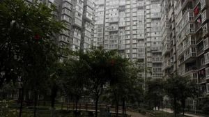 映日荷花 2室2厅 南