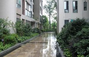 檀香花园3室1厅南
