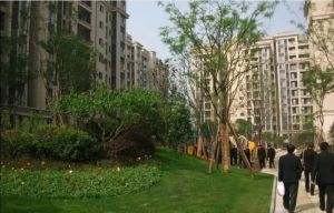 绿地圣路易名邸一期3室2厅南