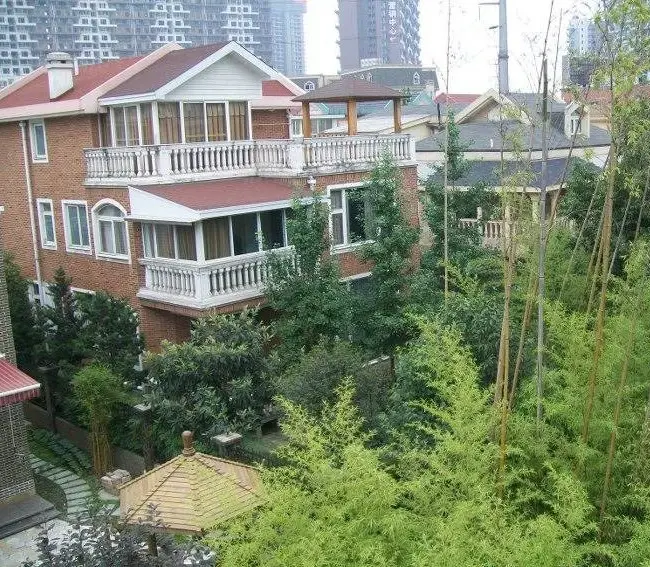 实景图