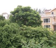 华楠半岛 3室1厅 南