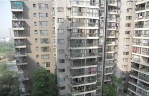 幸福彼岸5室2厅南